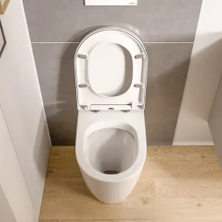 WC à poser Blanc brillant 36x54x42cm (LxPxH) sans rebord, abattant fermeture progressive + soft-close - VIREO