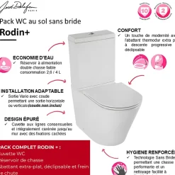 WC à poser sans bride sortie universelle JACOB DELAFON Rodin+ avec abattant frein de chute
