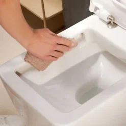 WC à poser sans bride sortie universelle HANSGROHE Elupura Original Q avec abattant