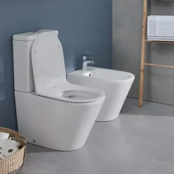 WC à poser sans bride sortie universelle JACOB DELAFON Rodin+ avec abattant frein de chute + nettoyant