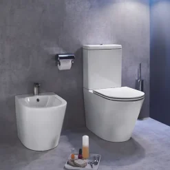 WC à poser sans bride sortie universelle JACOB DELAFON Rodin+ avec abattant frein de chute + tabouret physiologique bois