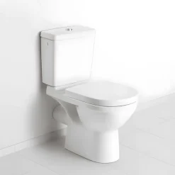 WC à poser VILLEROY ET BOCH O.novo avec abattant frein de chute déclipsable + nettoyant Briochin