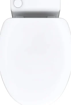 WC broyeur Turboflush compact l.24,5 x H.47 x P.54,5 cm, blanc en céramique anticalcaire, 500W, double chasse et abattant antibactérien