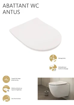 Wc Déclipsable Schulte -avec Frein De Chute - Lunette Et Couvercle - Duroplast - Blanc