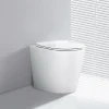 WC EN PORCELAINE WALL HUNG - SUR PIEDS BLANC