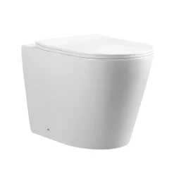 WC EN PORCELAINE WALL HUNG - SUR PIEDS BLANC