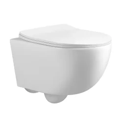 WC EN PORCELAINE WALL HUNG - SUSPENDU BLANC