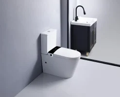 WC JAPONAIS EN CERAMIQUE - T5 WALL HUNG SUR PIEDS