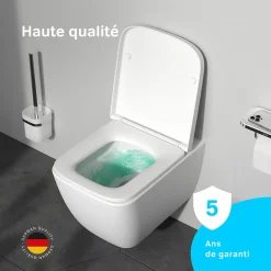 WC suspendu céramique sans bride cuvette WC suspendu sans bord FlashClean abattant amov. frein chute softclose, blanc AM.PM Gem